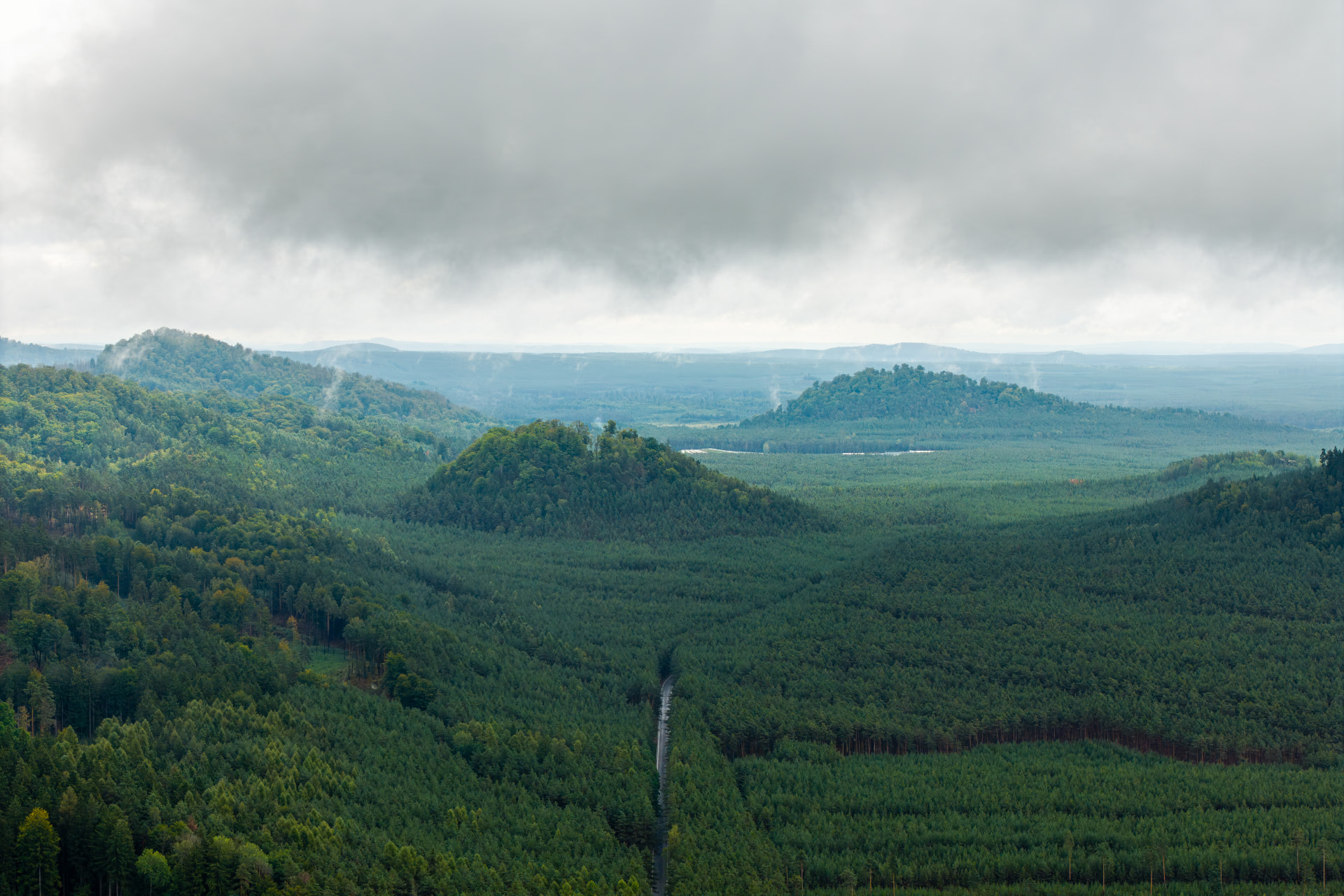 Panorama lesů a kopců v okolí Máchova jezera